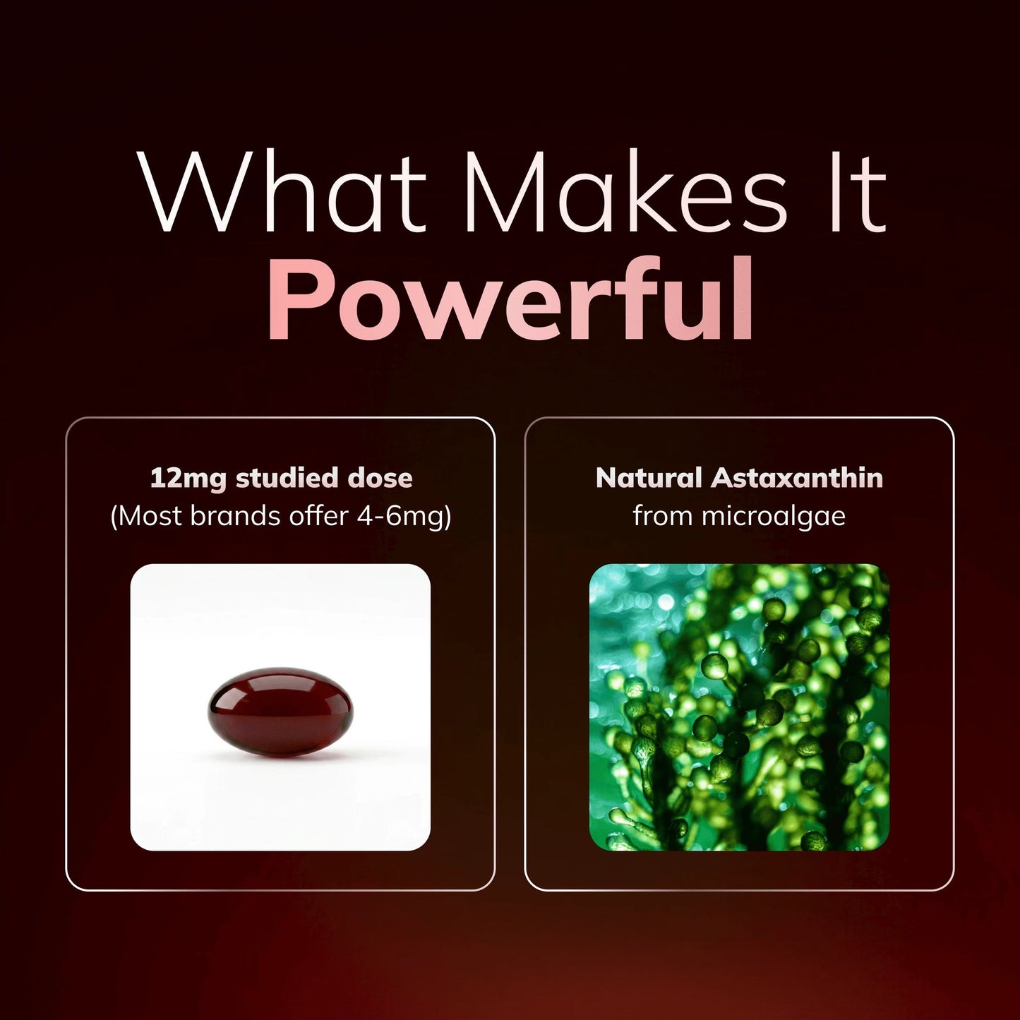 Astavina Astaxanthin 12mg Softgels